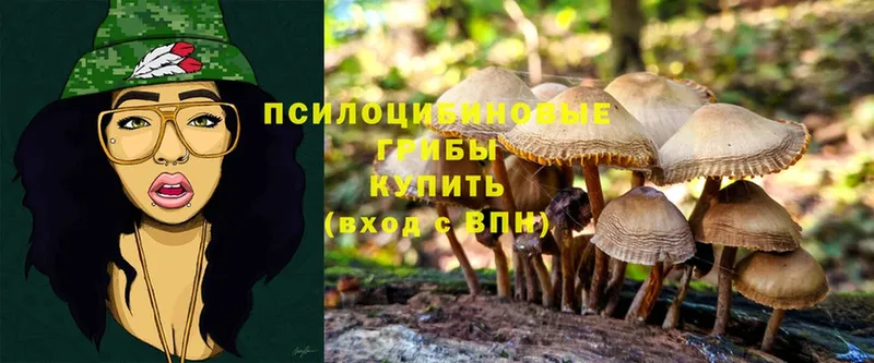 Галлюциногенные грибы MAGIC MUSHROOMS  мега как зайти  Бавлы 